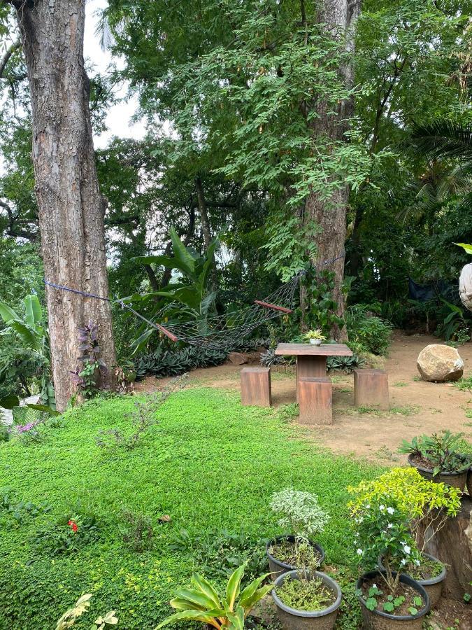 Pearl'S Homestay Matale Bagian luar foto