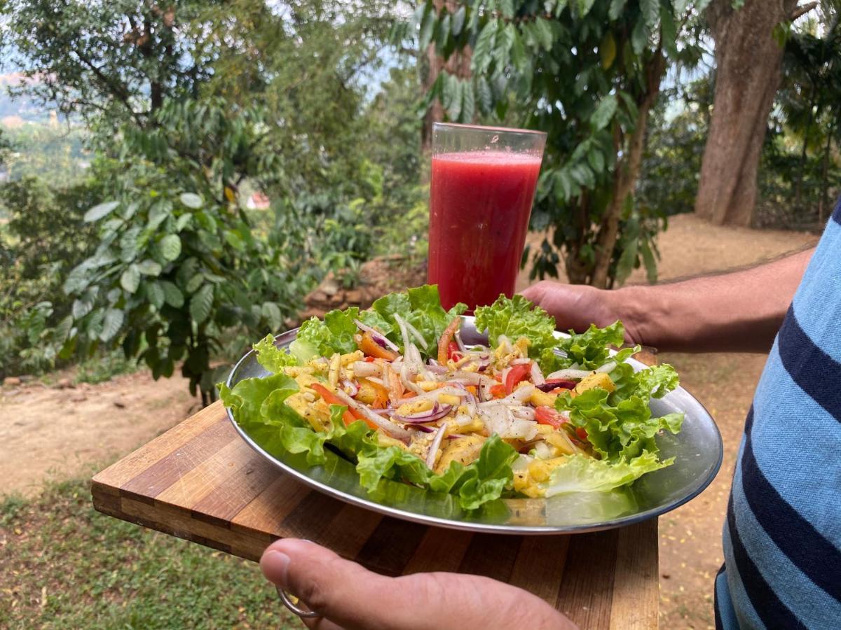 Pearl'S Homestay Matale Bagian luar foto