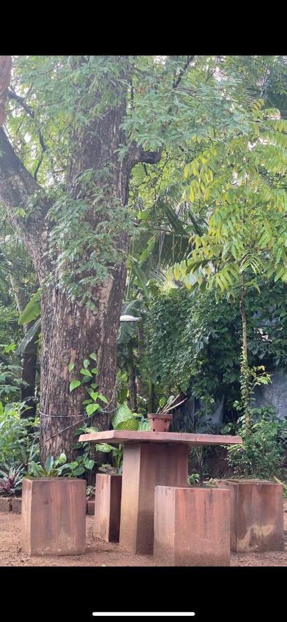 Pearl'S Homestay Matale Bagian luar foto