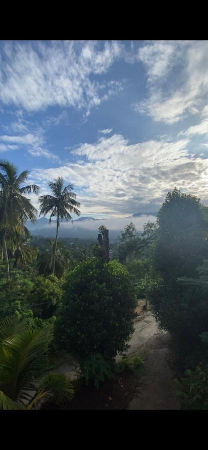Pearl'S Homestay Matale Bagian luar foto