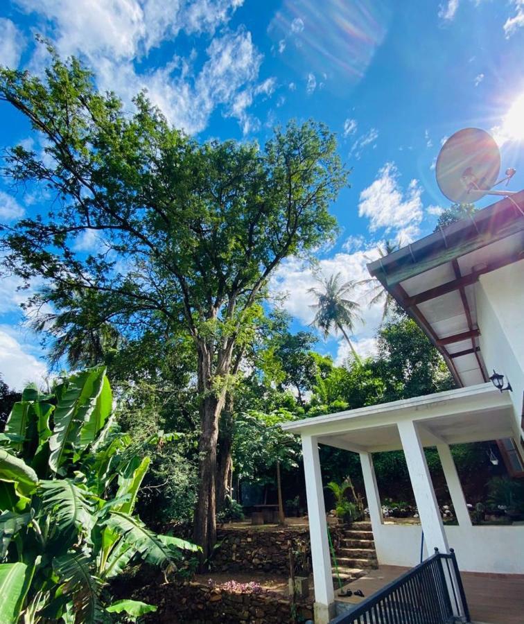 Pearl'S Homestay Matale Bagian luar foto
